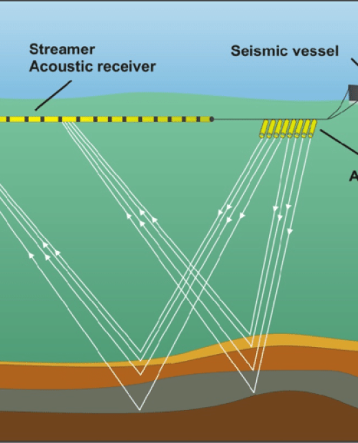 Typical-Seismic-Array-Survey