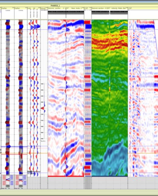 rokdoc-Gain Maximum Understanding of Geoscience Data